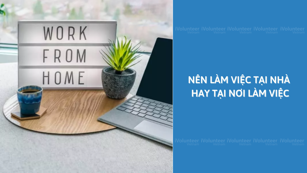 Nên Làm Việc Tại Nhà Hay Tại Nơi Làm Việc