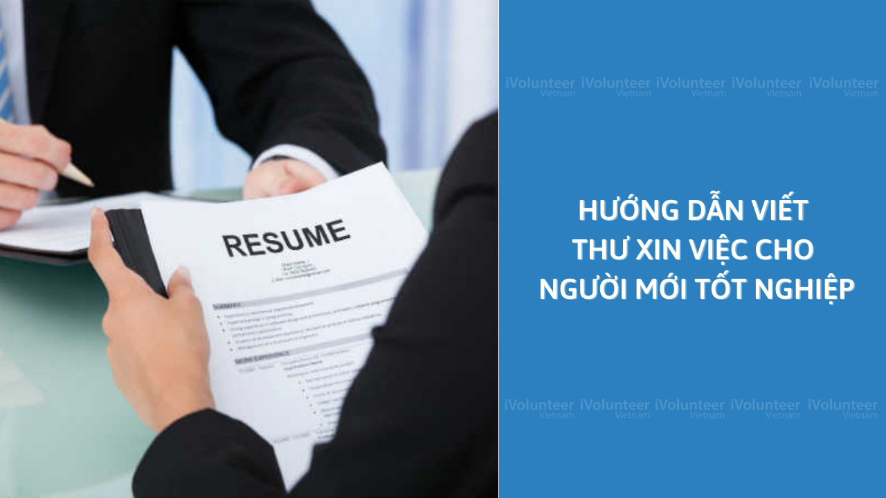 Hướng Dẫn Viết Thư Xin Việc Cho Người Mới Tốt Nghiệp