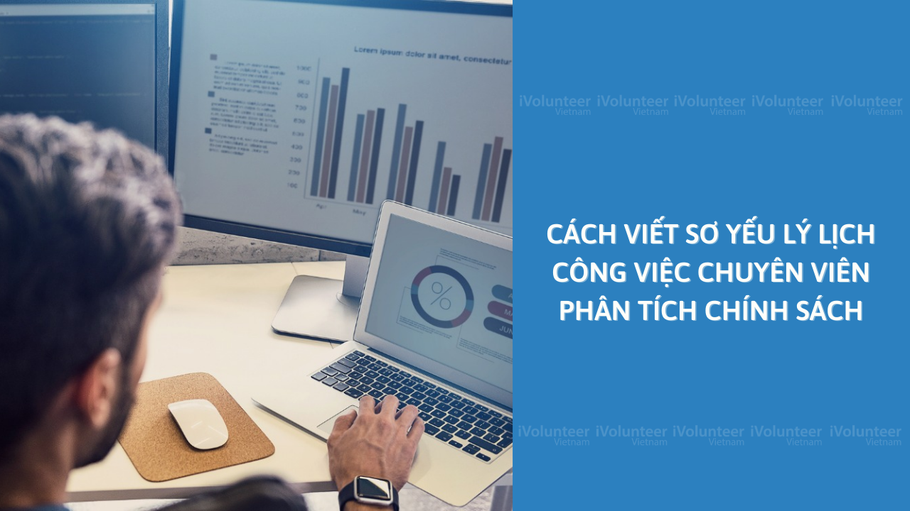 Cách Viết Sơ Yếu Lý Lịch Công Việc Chuyên Viên Phân Tích Chính Sách