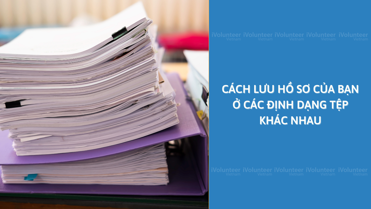 Cách Lưu Hồ Sơ Của Bạn Ở Các Định Dạng Tệp Khác Nhau