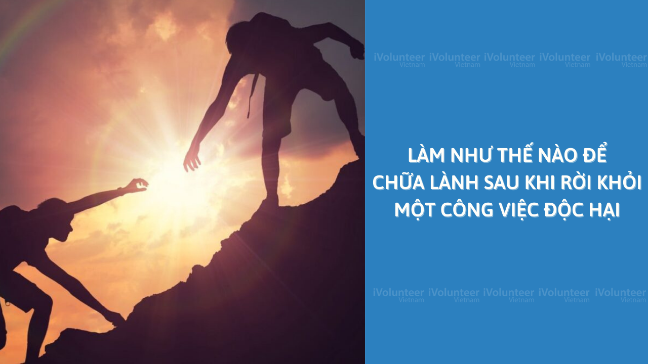 Làm Như Thế Nào Để Chữa Lành Sau Khi Rời Khỏi Một Công Việc Độc Hại