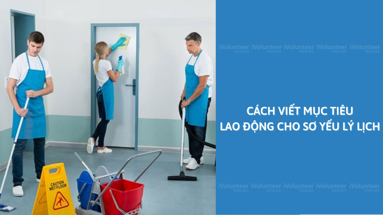 Cách Viết Mục Tiêu Lao Động Cho Sơ Yếu Lý Lịch