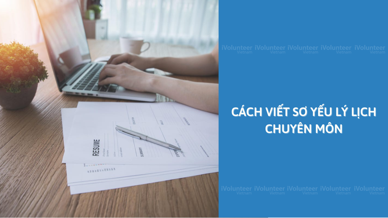 Cách Viết Sơ Yếu Lý Lịch Chuyên Môn