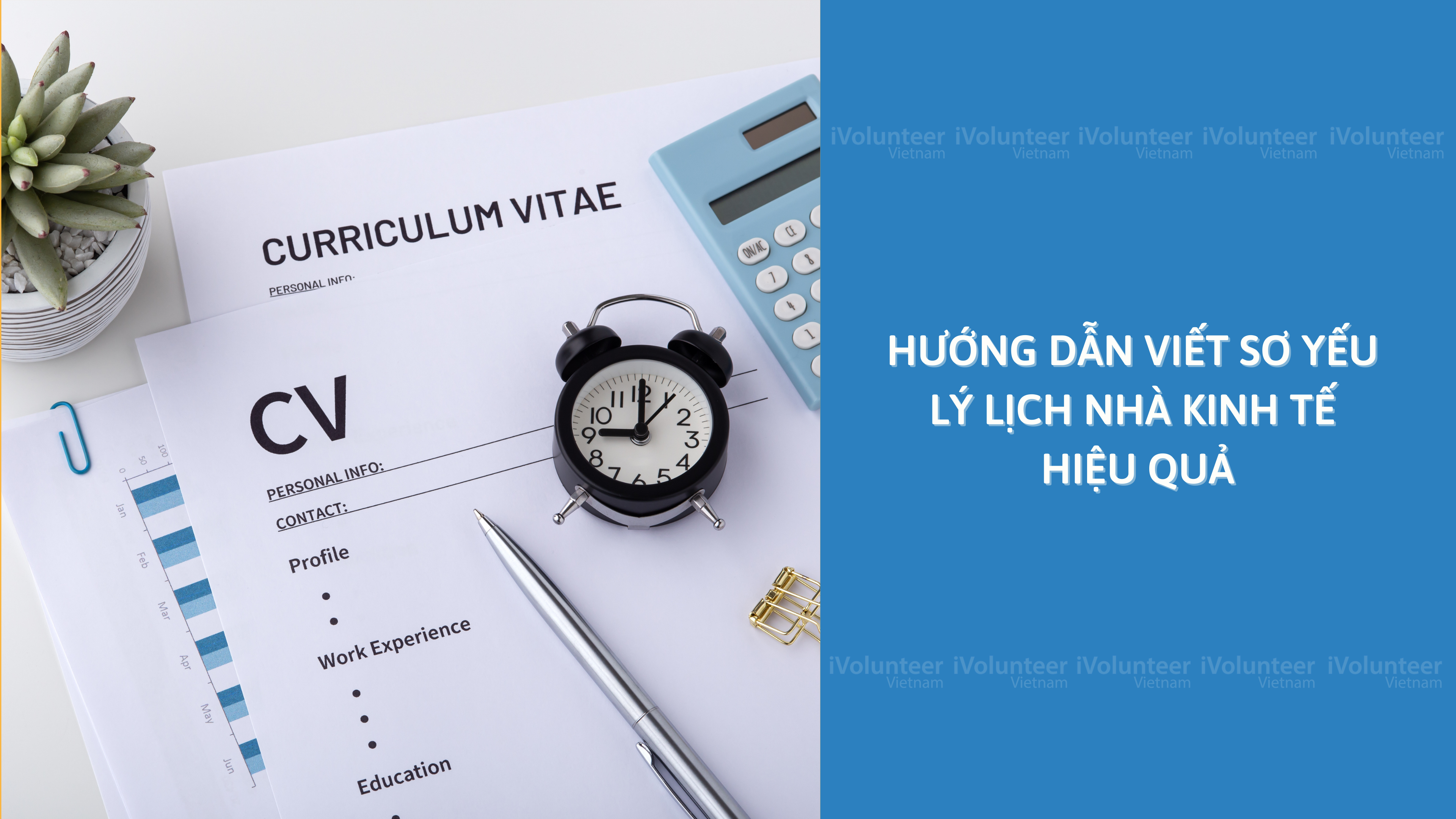 Hướng Dẫn Viết Sơ Yếu Lý Lịch Nhà Kinh Tế Hiệu Quả