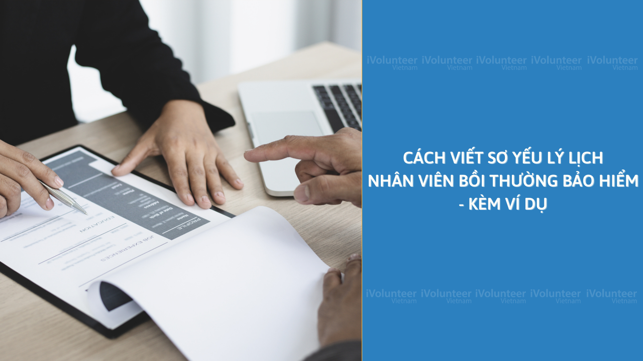 Cách Viết Sơ Yếu Lý Lịch Nhân Viên Bồi Thường Bảo Hiểm - Kèm Ví Dụ