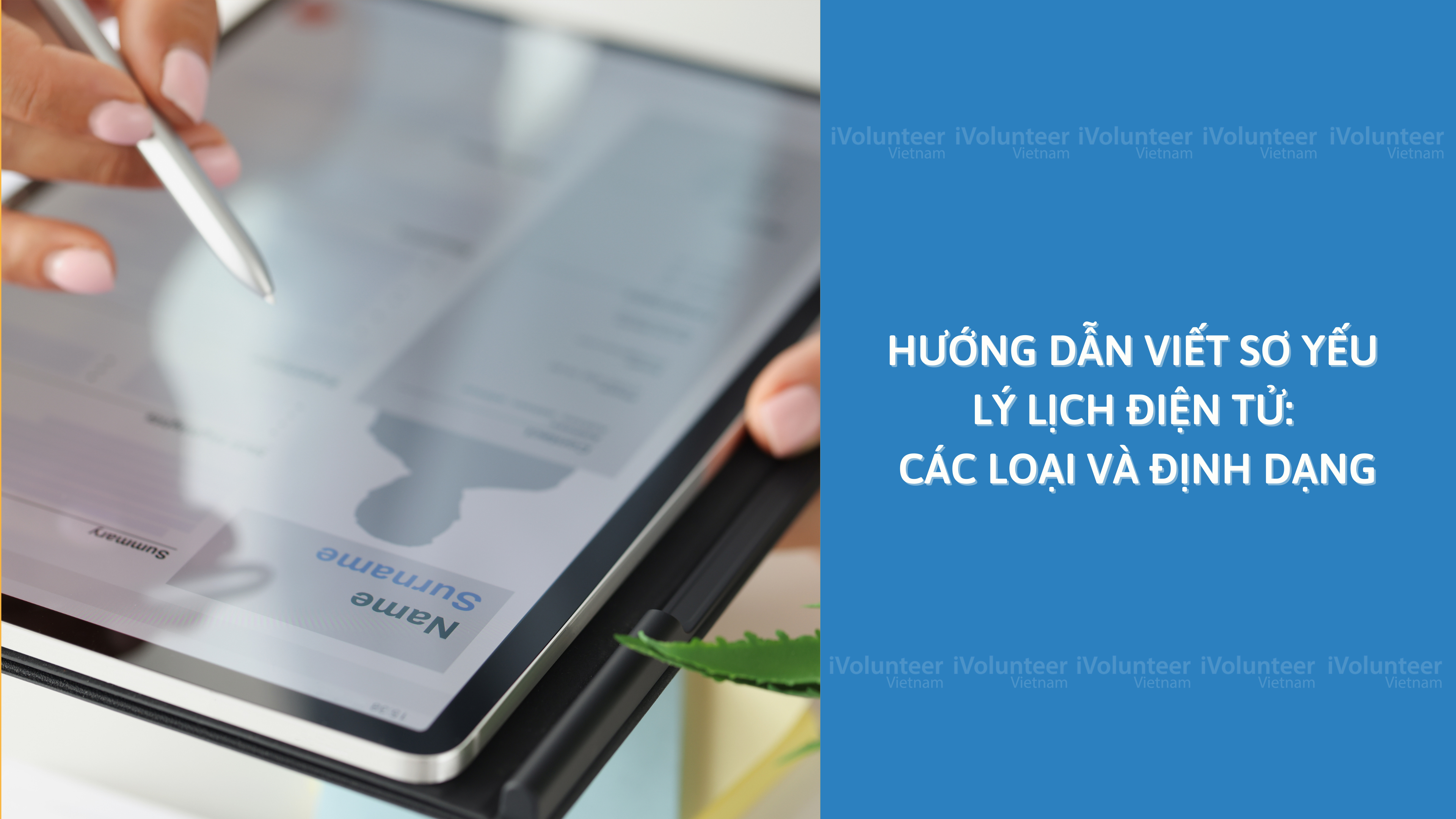 Hướng Dẫn Viết Sơ Yếu Lý Lịch Điện Tử: Các Loại Và Định Dạng