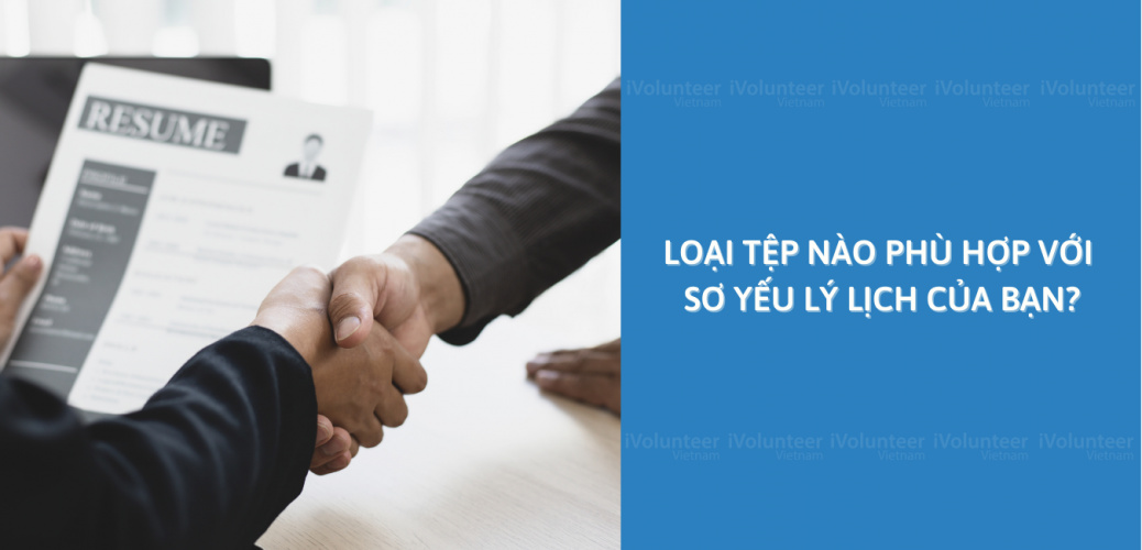 Loại Tệp Nào Phù Hợp Với Sơ Yếu Lý Lịch Của Bạn?