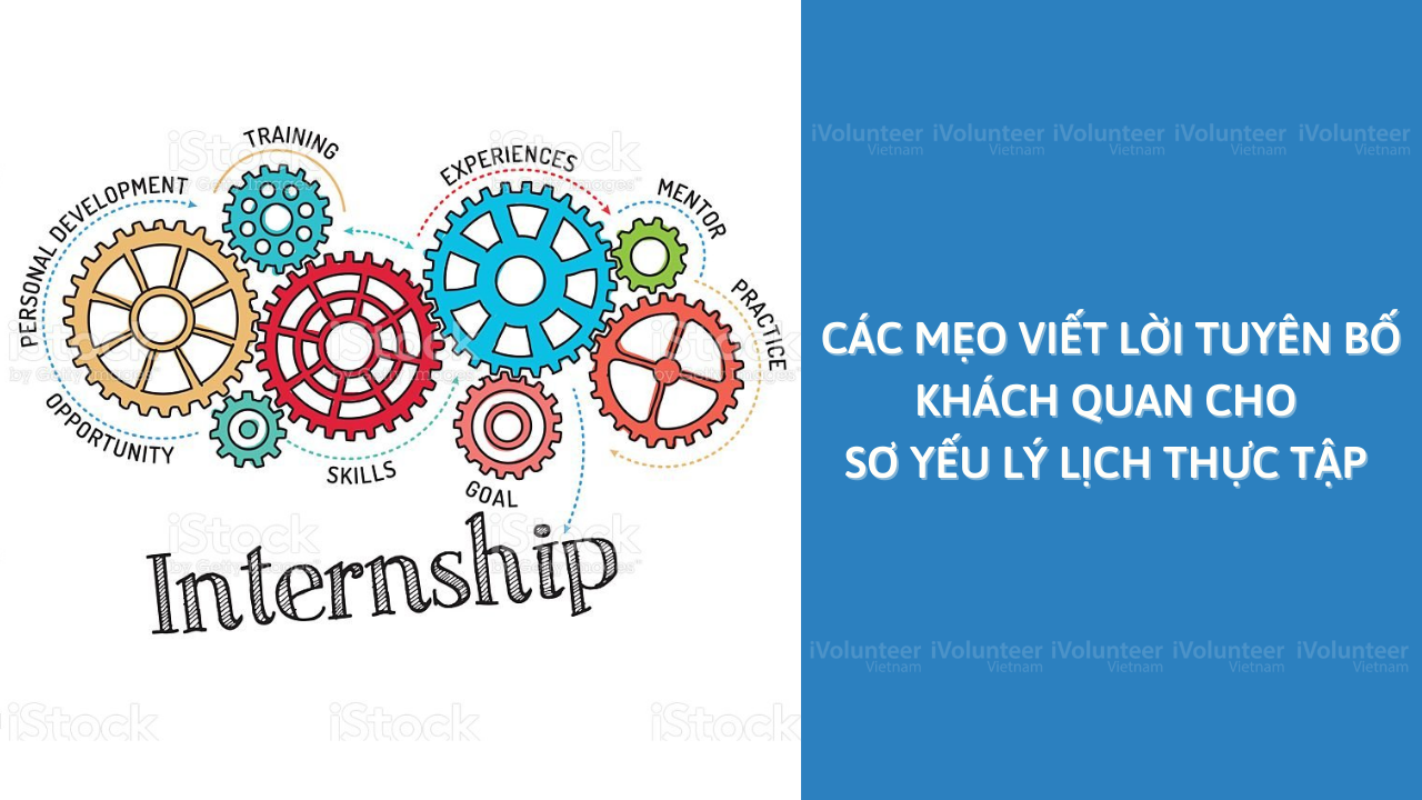 Các Mẹo Viết Lời Tuyên Bố Khách Quan Cho Sơ Yếu Lý Lịch Thực Tập