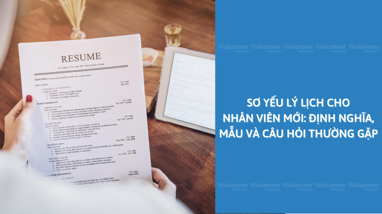 Sơ Yếu Lý Lịch Cho Nhân Viên Mới: Định Nghĩa, Mẫu Và Câu Hỏi Thường Gặp