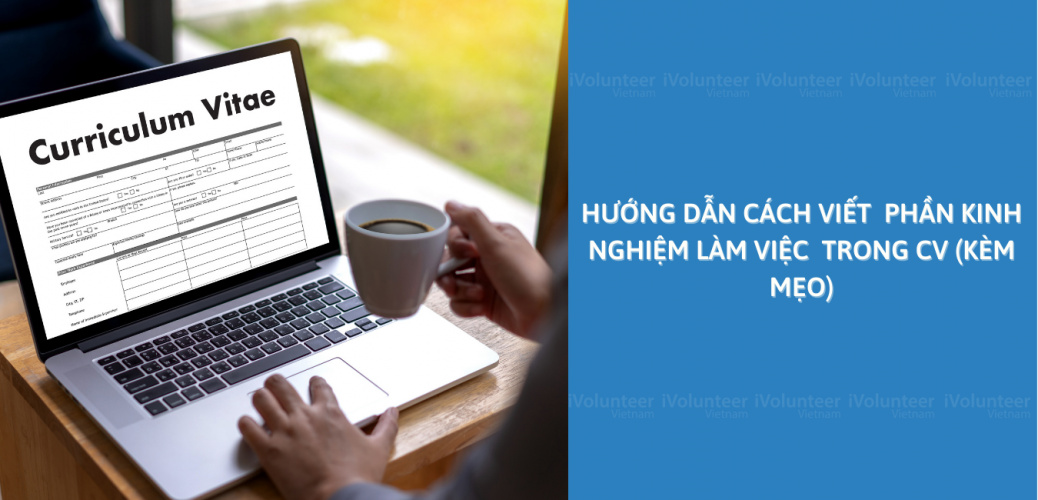 Hướng Dẫn Cách Viết Phần Kinh Nghiệm Làm Việc Trong CV (Kèm Mẹo)