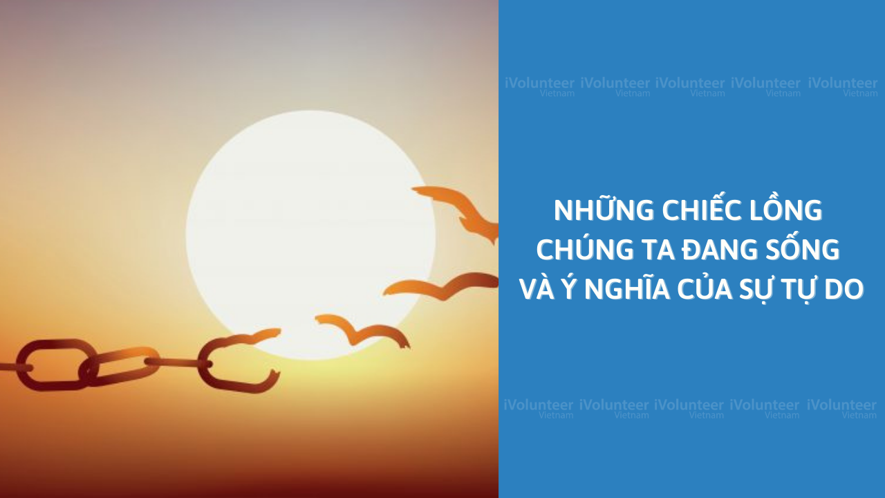 Những Chiếc Lồng Chúng Ta Đang Sống Và Ý Nghĩa Của Sự Tự Do