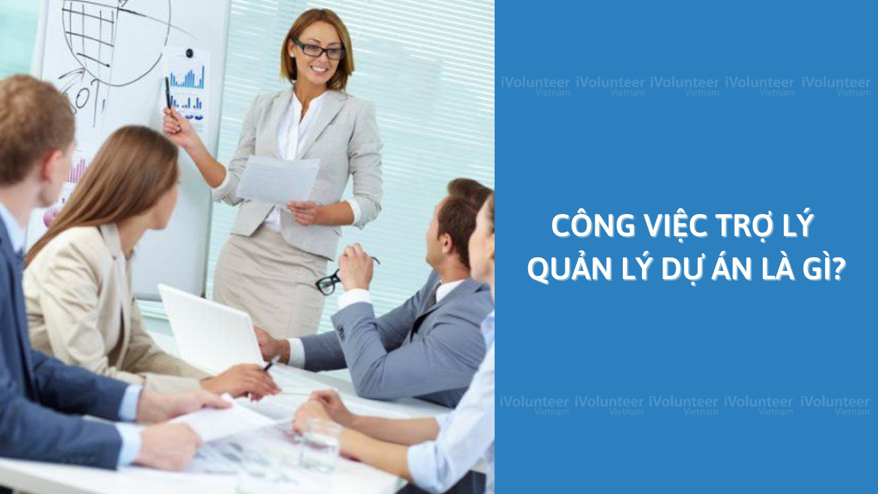 Công Việc Trợ Lý Quản Lý Dự Án Là Gì?