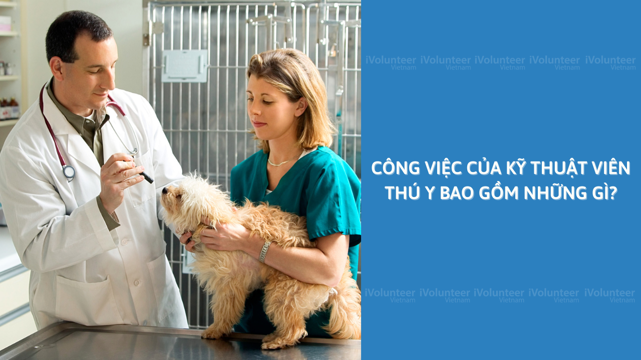 Công Việc Của Kỹ Thuật Viên Thú Y Bao Gồm Những Gì?