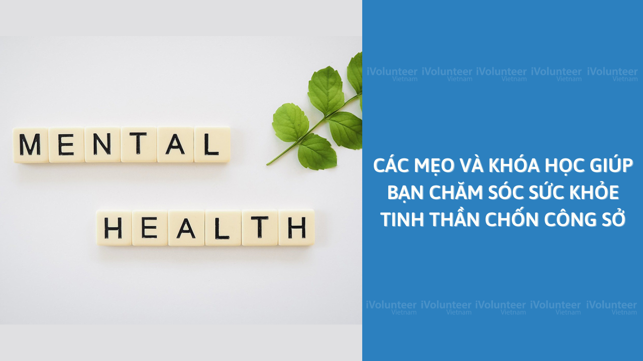 Các Mẹo Và Khóa Học Giúp Bạn Chăm Sóc Sức Khỏe Tinh Thần Chốn Công Sở