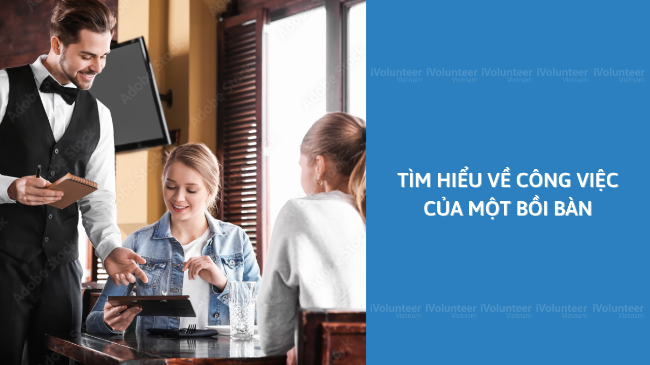 Tìm Hiểu Về Công Việc Của Một Bồi Bàn