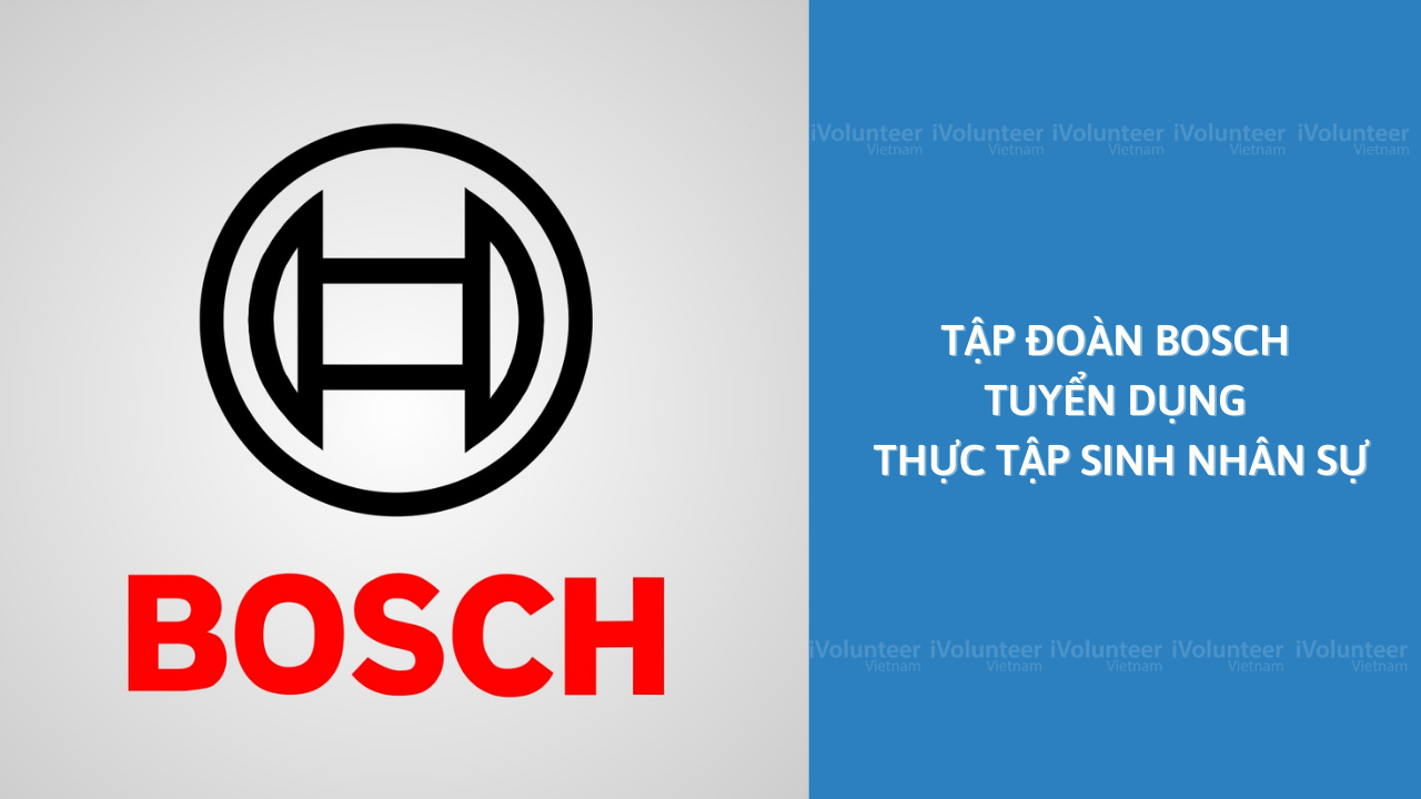 Tập Đoàn Bosch Tuyển Dụng Thực Tập Sinh Nhân Sự