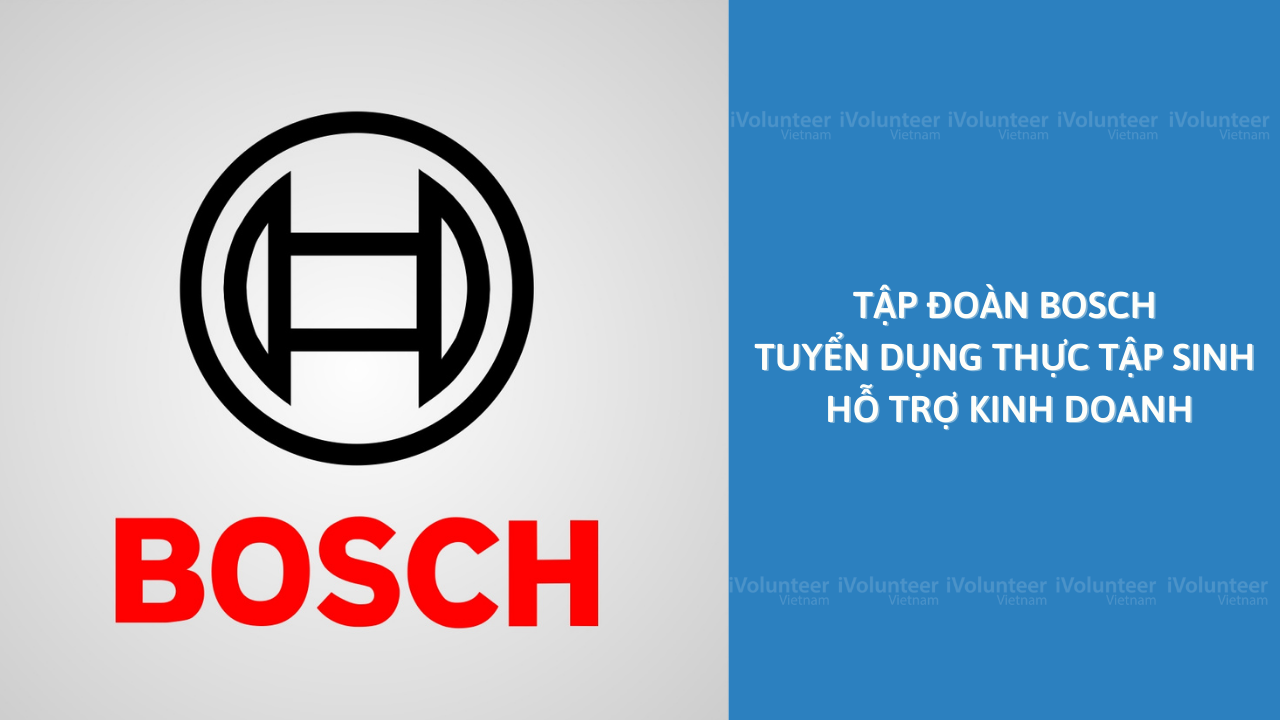 Tập Đoàn Bosch Tuyển Dụng Thực Tập Sinh Hỗ Trợ Kinh Doanh