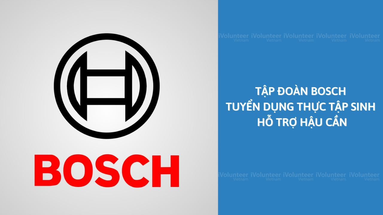 Tập Đoàn Bosch Tuyển Dụng Thực Tập Sinh Hỗ Trợ Hậu Cần