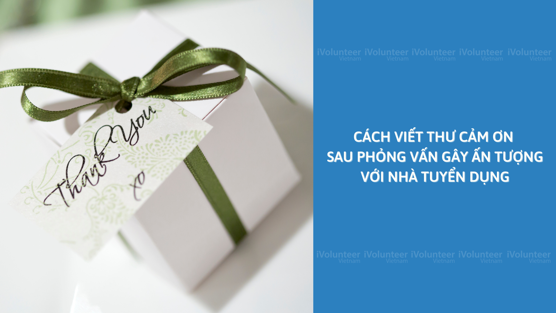 Cách Viết Thư Cảm Ơn Sau Phỏng Vấn Gây Ấn Tượng Với Nhà Tuyển Dụng