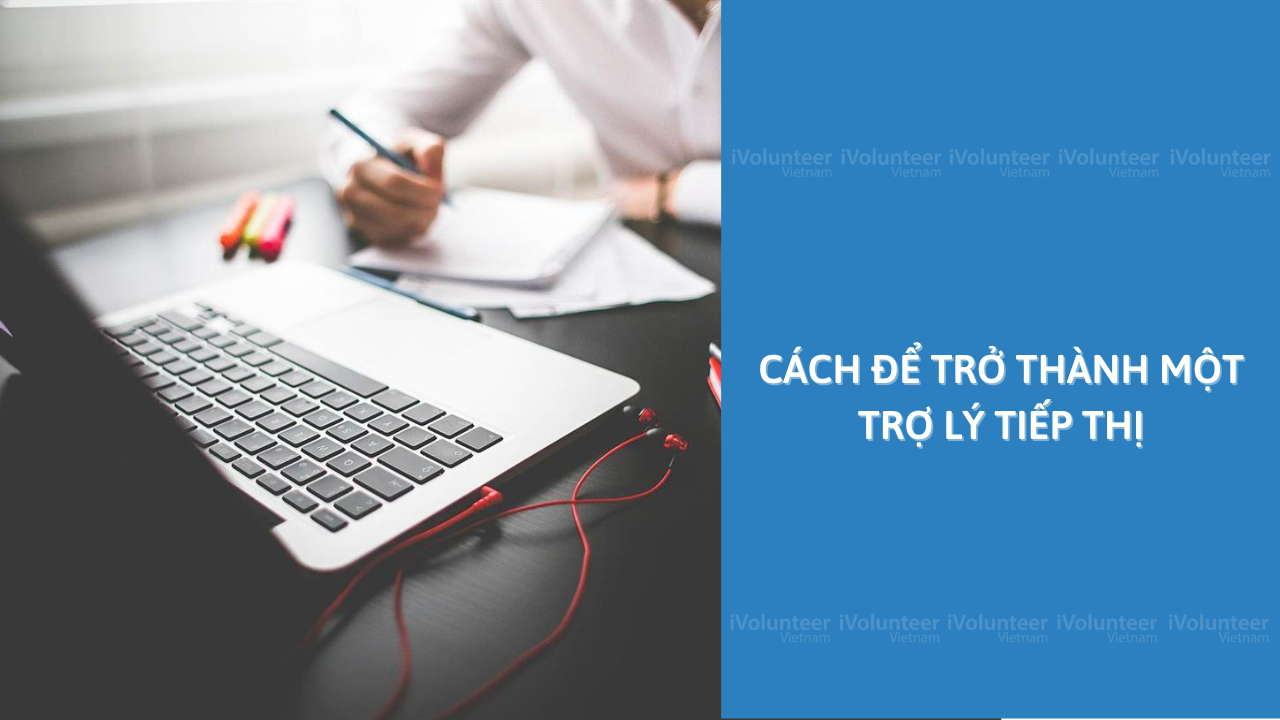 Cách Để Trở Thành Một Trợ Lý Tiếp Thị