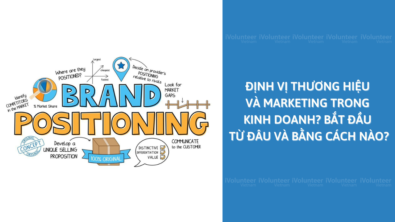 Series Bắt Đầu Kinh Doanh Phần 4: Định Vị Thương Hiệu Và Marketing Trong Kinh Doanh?