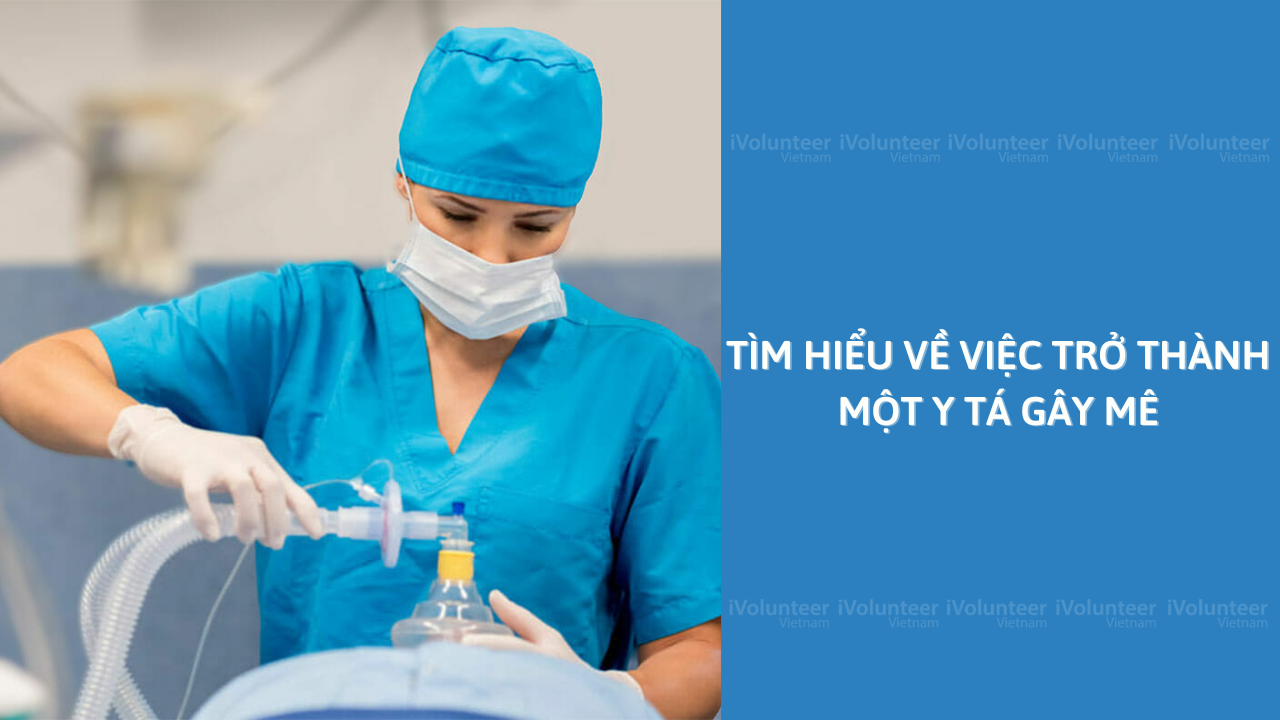 Tìm Hiểu Về Việc Trở Thành Một Y Tá Gây Mê