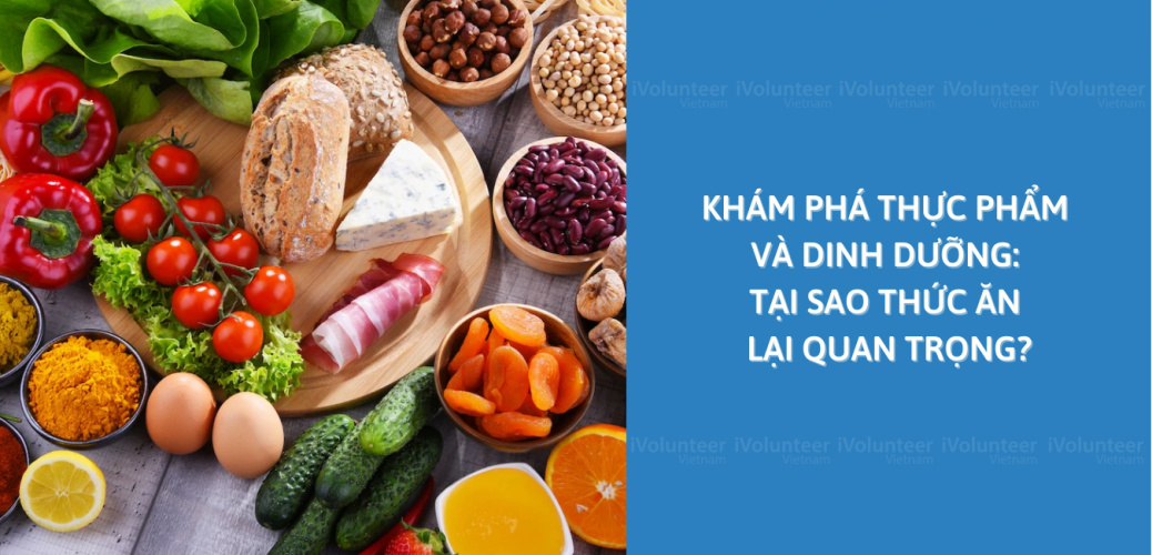 Khám Phá Thực Phẩm Và Dinh Dưỡng: Tại Sao Thức Ăn Lại Quan Trọng?