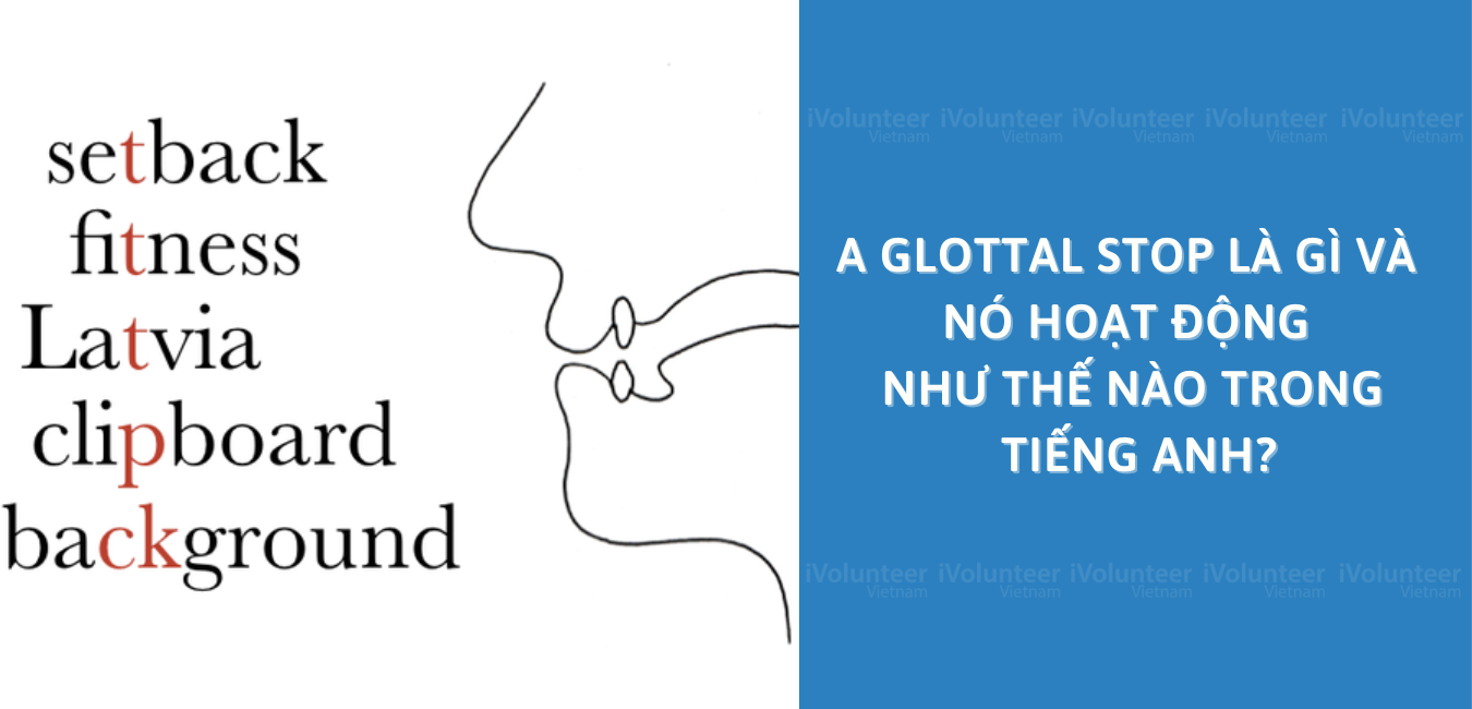 A Glottal Stop Là Gì Và Nó Hoạt Động Như Thế Nào Trong Tiếng Anh?