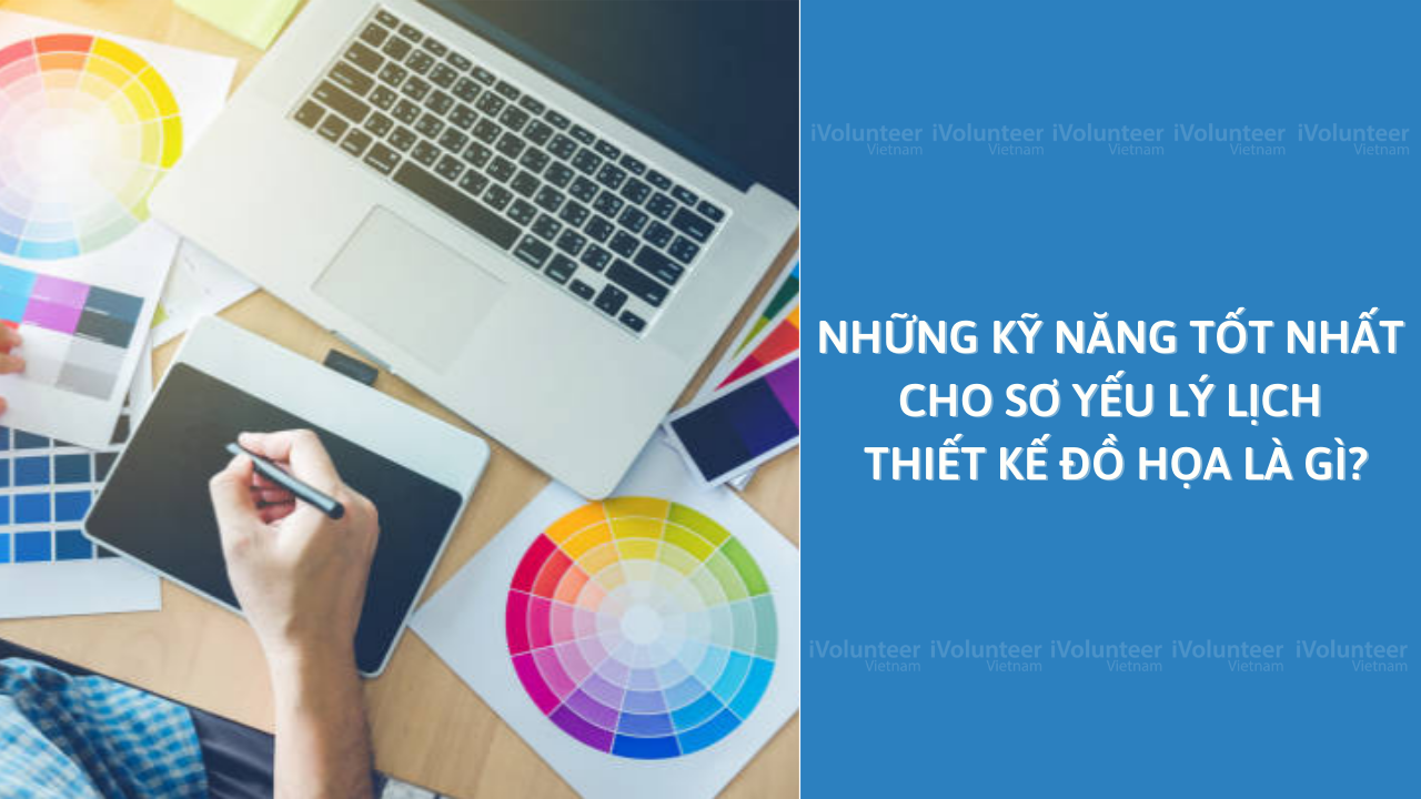 Sơ Yếu Lý Lịch Online: Cách Tạo Sơ Yếu Lý Lịch Để Xây Dựng Mạng Lưới Chuyên Nghiệp Của Bạn