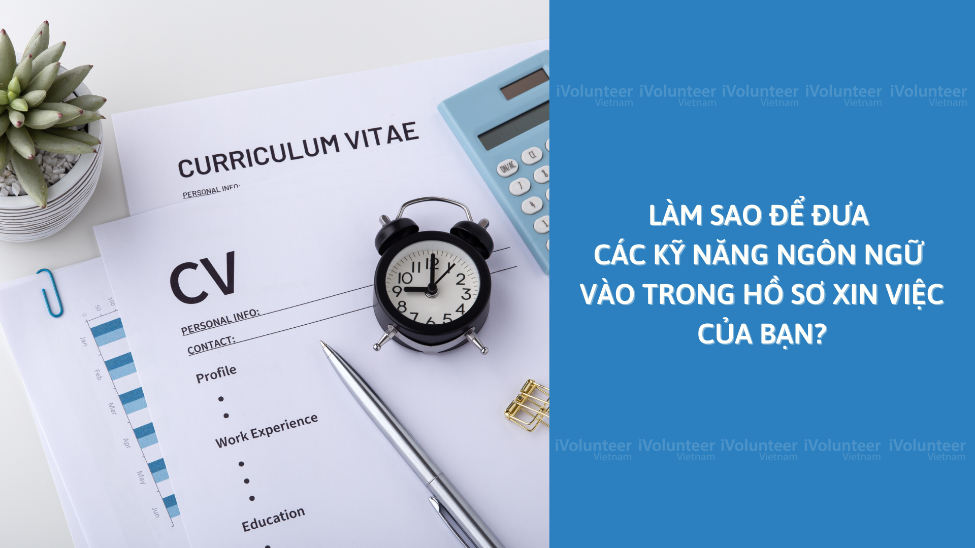 Làm Sao Để Đưa Các Kỹ Năng Ngôn Ngữ Vào Trong Hồ Sơ Xin Việc Của Bạn?