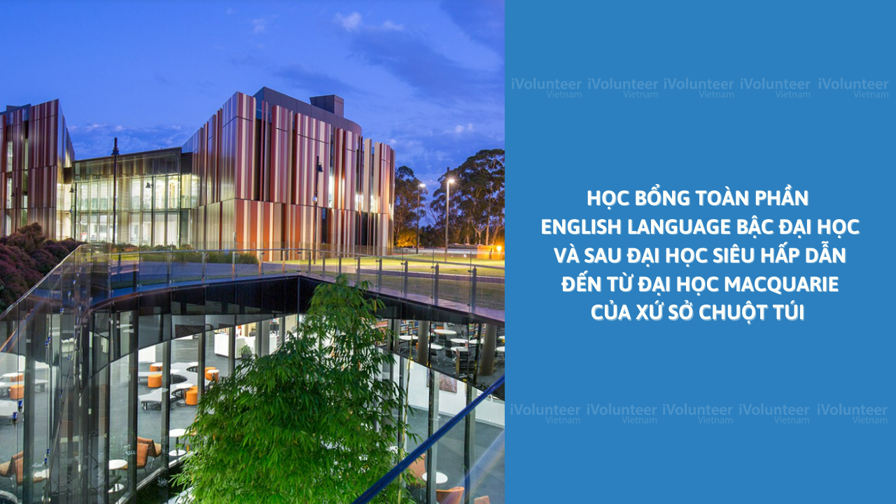 Học Bổng Toàn Phần English Language Bậc Đại Học Và Sau Đại Học Siêu Hấp Dẫn Đến Từ Đại Học Macquarie Của Xứ Sở Chuột Túi