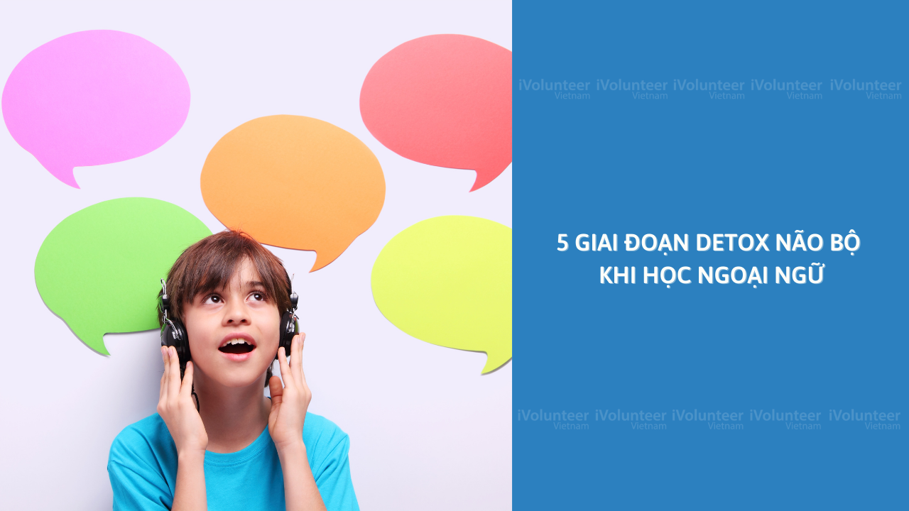 5 Giai Đoạn Detox Não Bộ Khi Học Ngoại Ngữ