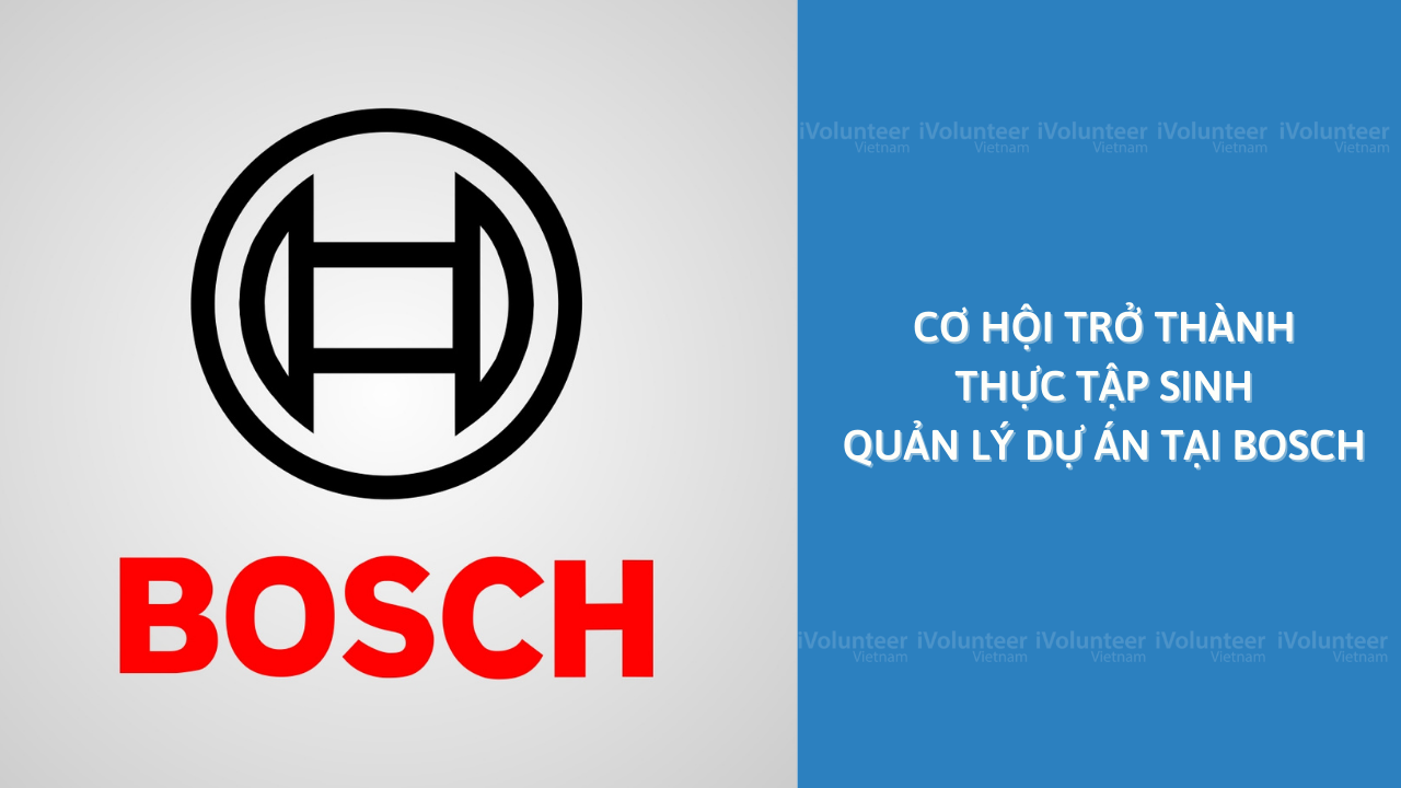 Cơ Hội Trở Thành Thực Tập Sinh Quản Lý Dự Án Tại Bosch