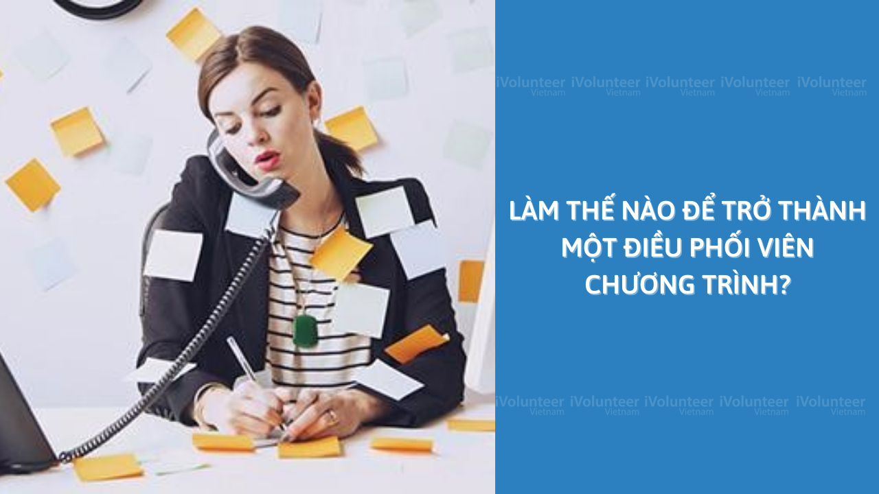 Làm Thế Nào Để Trở Thành Một Điều Phối Viên Chương Trình?