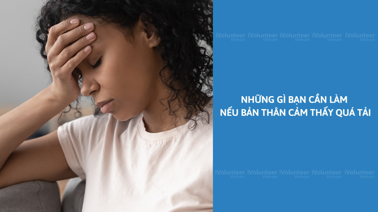 Những Gì Bạn Cần Làm Nếu Bản Thân Cảm Thấy Quá Tải