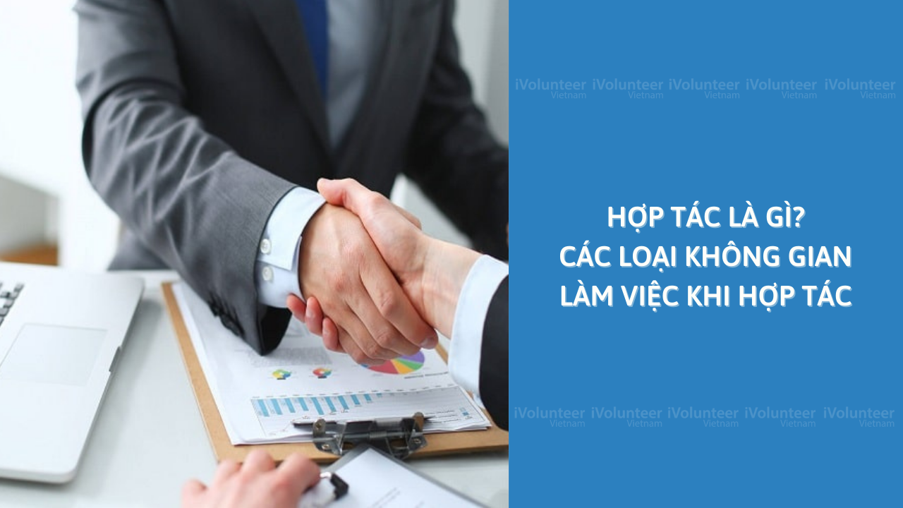 Hợp Tác Là Gì? Các Loại Không Gian Làm Việc Khi Hợp Tác