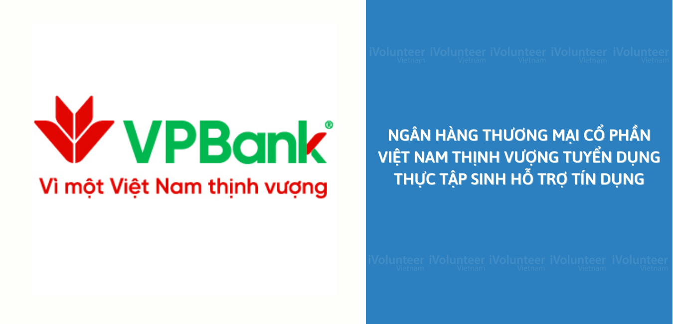 Ngân Hàng Thương Mại Cổ Phần Việt Nam Thịnh Vượng Tuyển Dụng Thực Tập Sinh Hỗ Trợ Tín Dụng