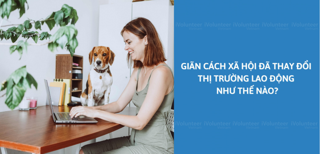 Giãn Cách Xã Hội Đã Thay Đổi Thị Trường Lao Động Như Thế Nào?