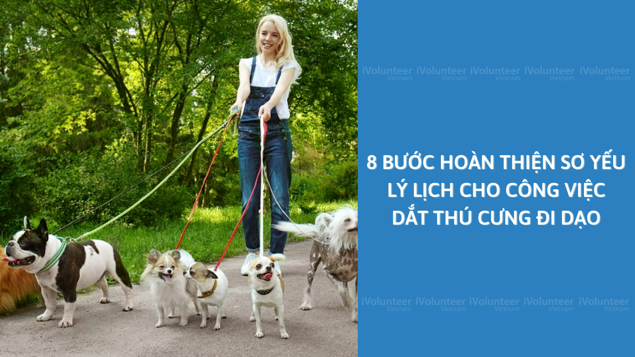 8 Bước Hoàn Thiện Sơ Yếu Lý Lịch Cho Công Việc Dắt Thú Cưng Đi Dạo