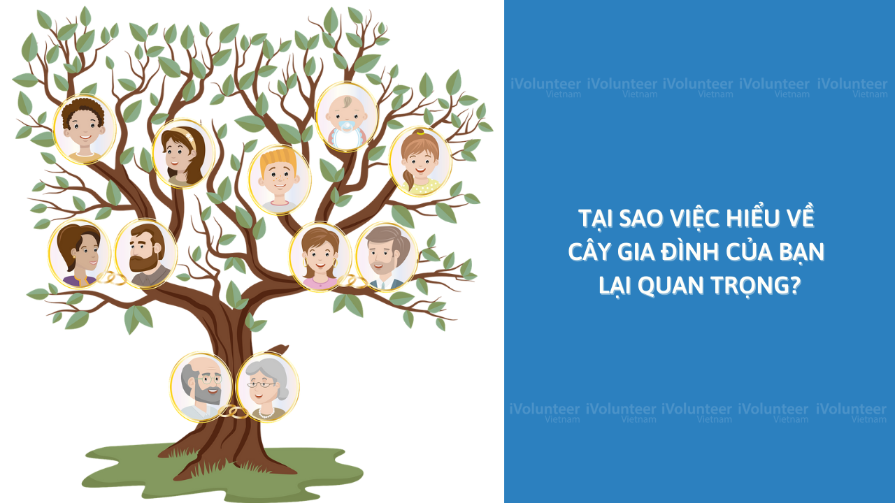 Tại Sao Việc Hiểu Cây Gia Đình Của Bạn Lại Quan Trọng?