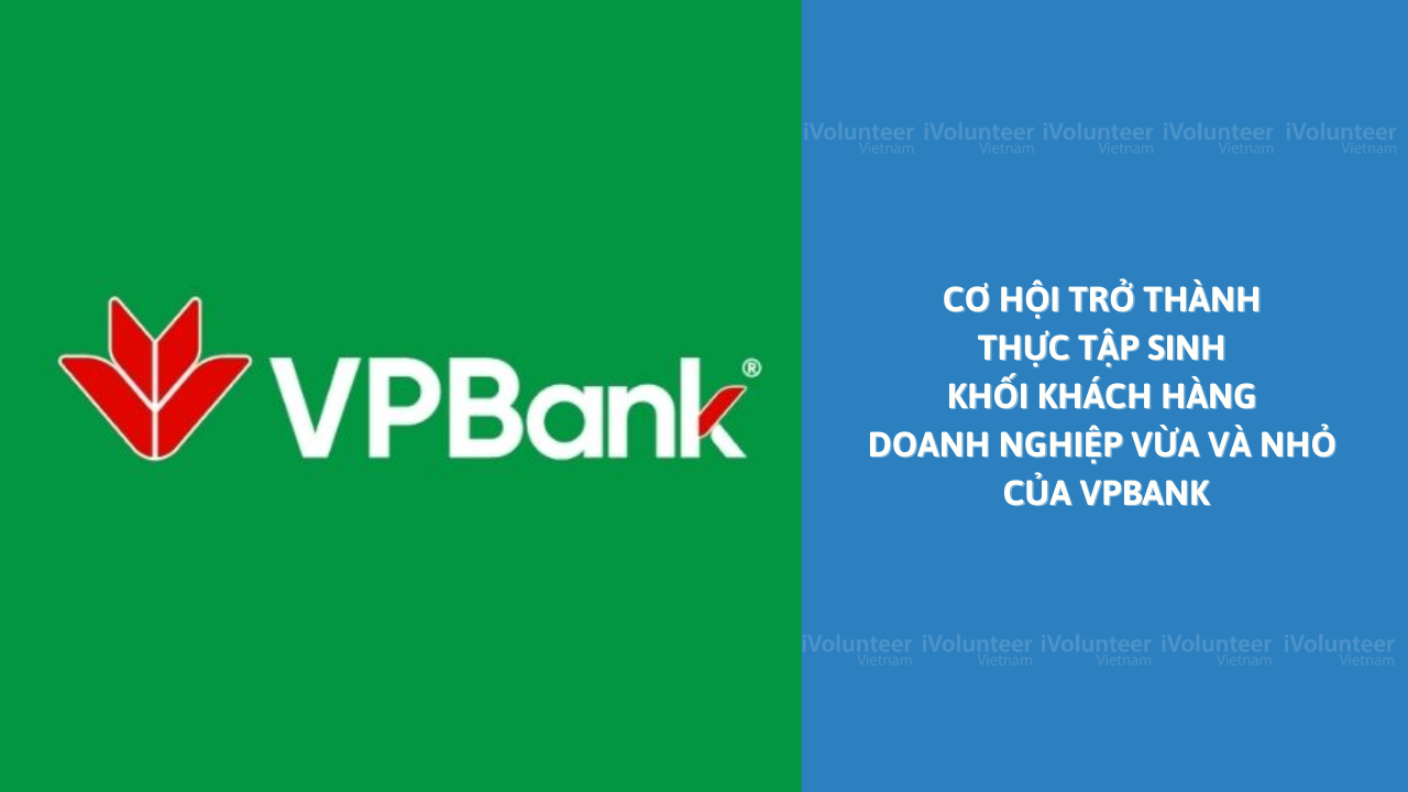 Chương Trình Thực Tập Sinh Của VPBank - Cơ Hội Trở Thành Nhân Viên Chính Thức Khối Khách Hàng Doanh Nghiệp