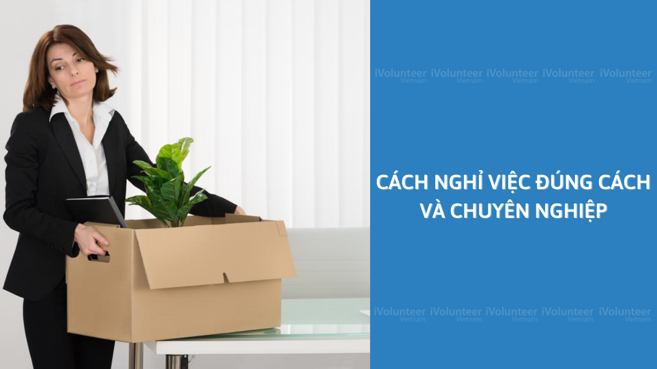 Cách Nghỉ Việc Đúng Cách Và Chuyên Nghiệp