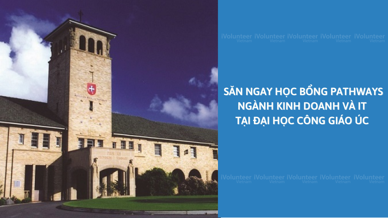 Săn Ngay Học Bổng Pathways Ngành Kinh Doanh Và IT Tại Đại Học Công Giáo Úc