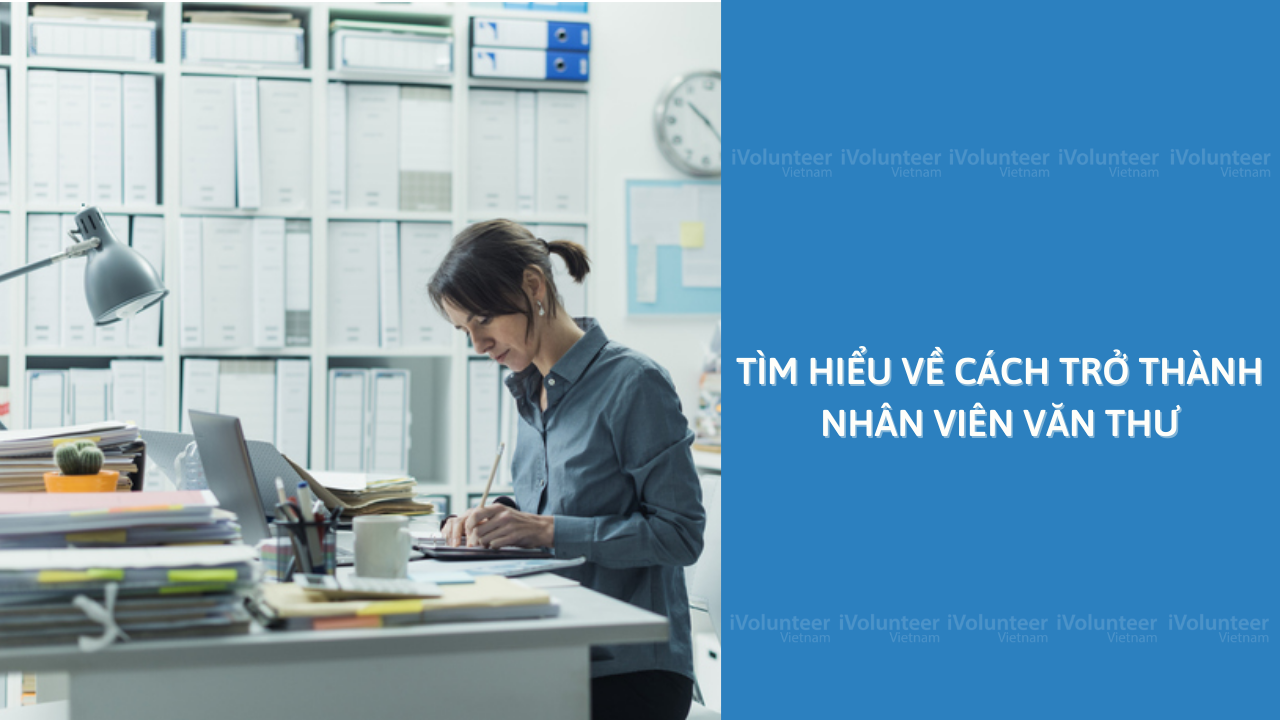 Tìm Hiểu Về Cách Trở Thành Nhân Viên Văn Thư