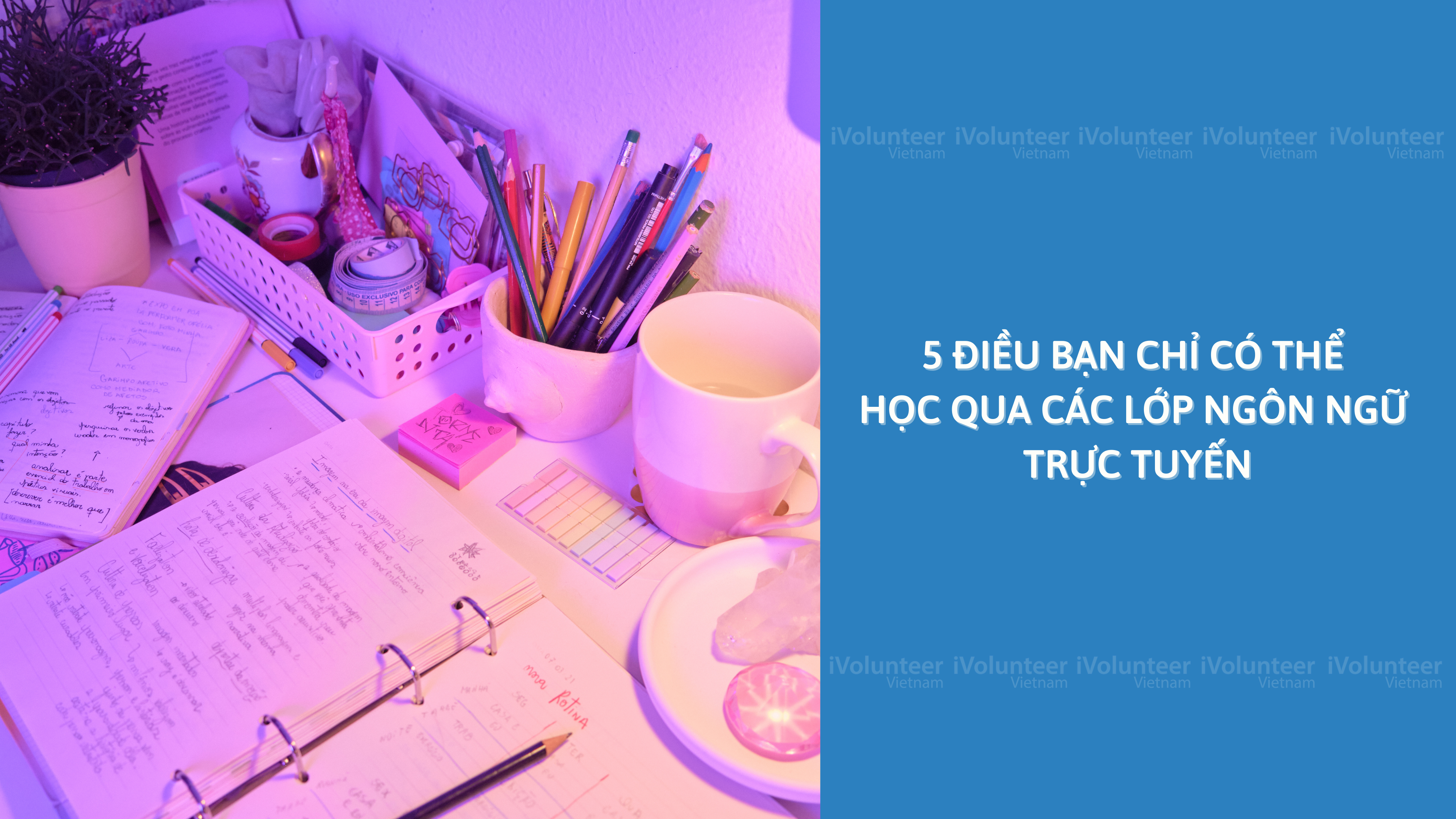 5 Điều Bạn Chỉ Có Thể Học Qua Các Lớp Ngôn Ngữ Trực Tuyến