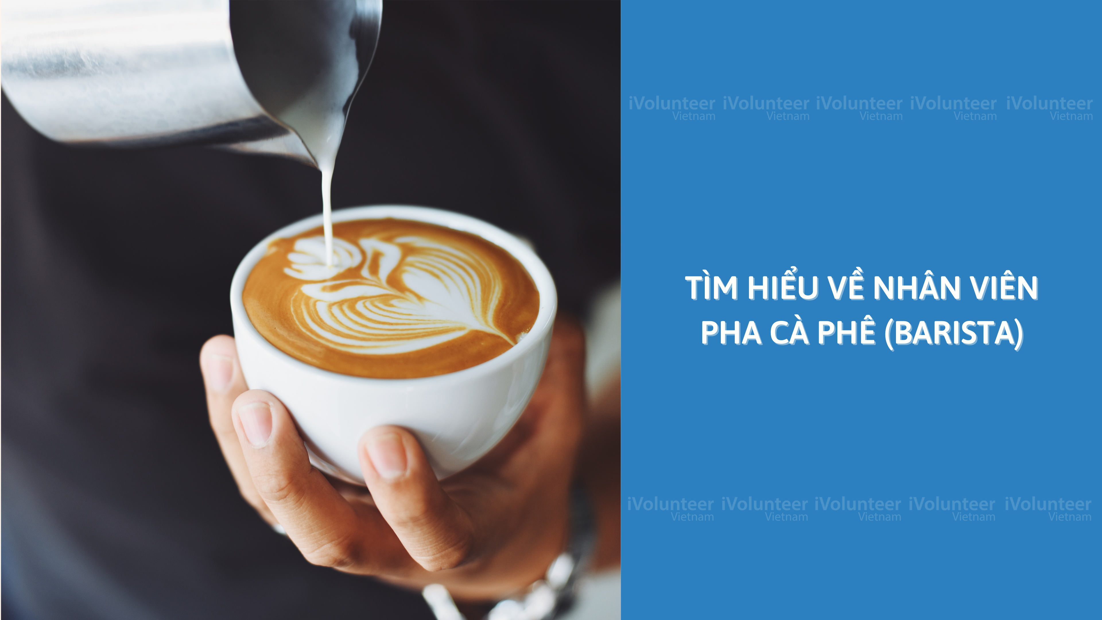 Tìm Hiểu Về Nhân Viên Pha Cà Phê (Barista)