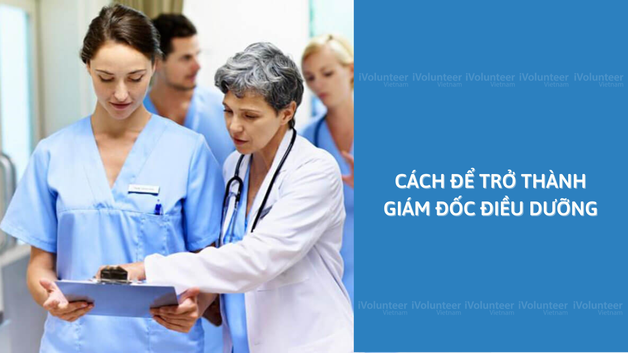 Cách Để Trở Thành Giám Đốc Điều Dưỡng