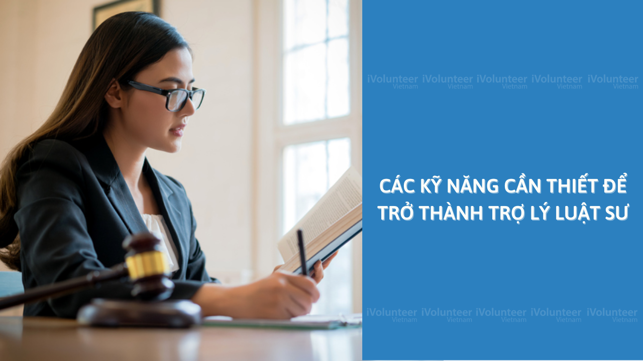 Các Kỹ Năng Cần Thiết Để Trở Thành Trợ Lý Luật Sư