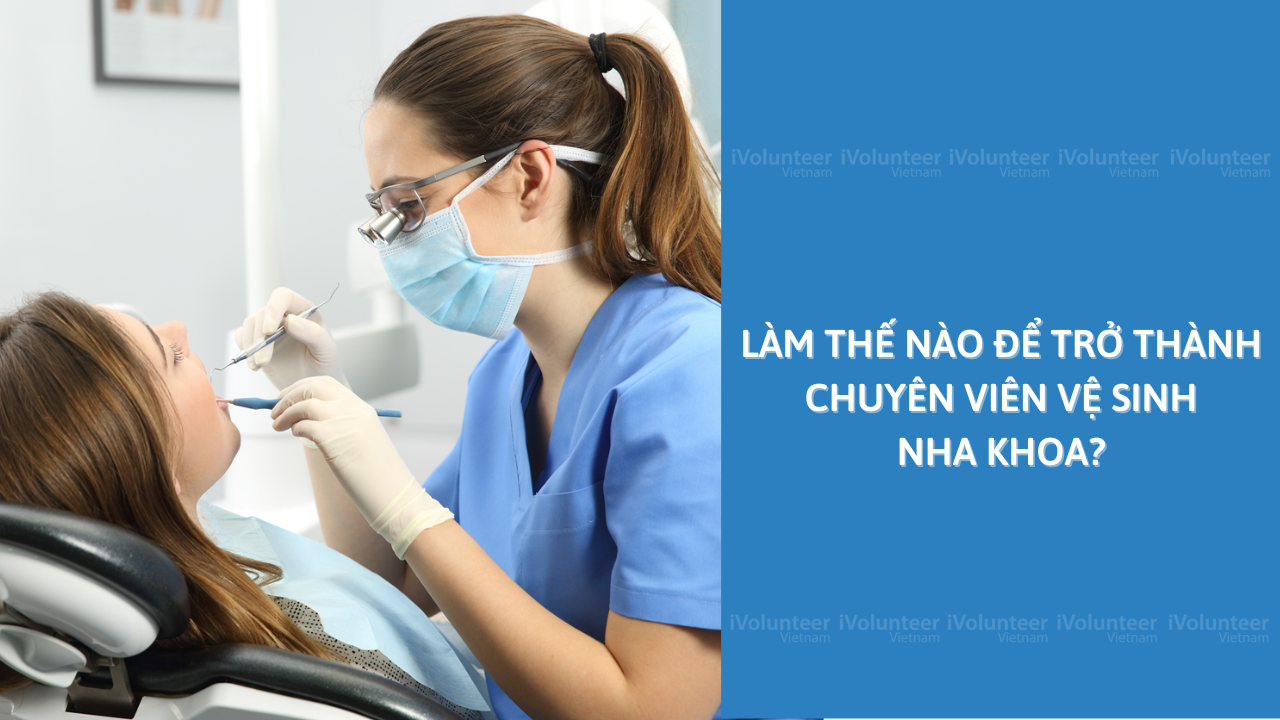 Làm Thế Nào Để Trở Thành Chuyên Viên Vệ Sinh Nha Khoa?