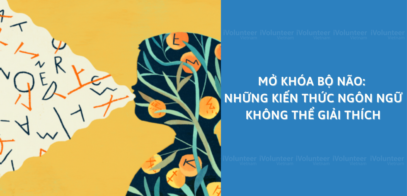 Mở Khóa Bộ Não: Những Kiến Thức Ngôn Ngữ Không Thể Giải Thích